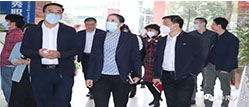 中南人才集团-市人力资源和社会保障局领导莅临中南人才集团调研指导
