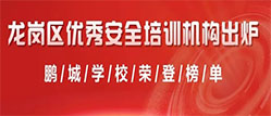 中南人才集团-热烈祝贺！中南人才集团&鹏城学校获评2022年度龙岗区优秀安全培训机构