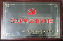 中南人才集团-先进基层党组织