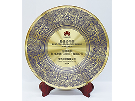 中南人才集团-华为最佳协同奖