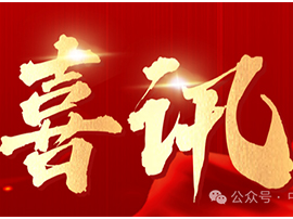 中南人才集团-喜讯 | 实力铸就，再添佳绩！