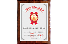 中南人才集团-2024年深圳企业500强