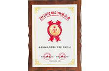 中南人才集团-2020年深圳企业500强