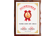 中南人才集团-2021年深圳企业500强